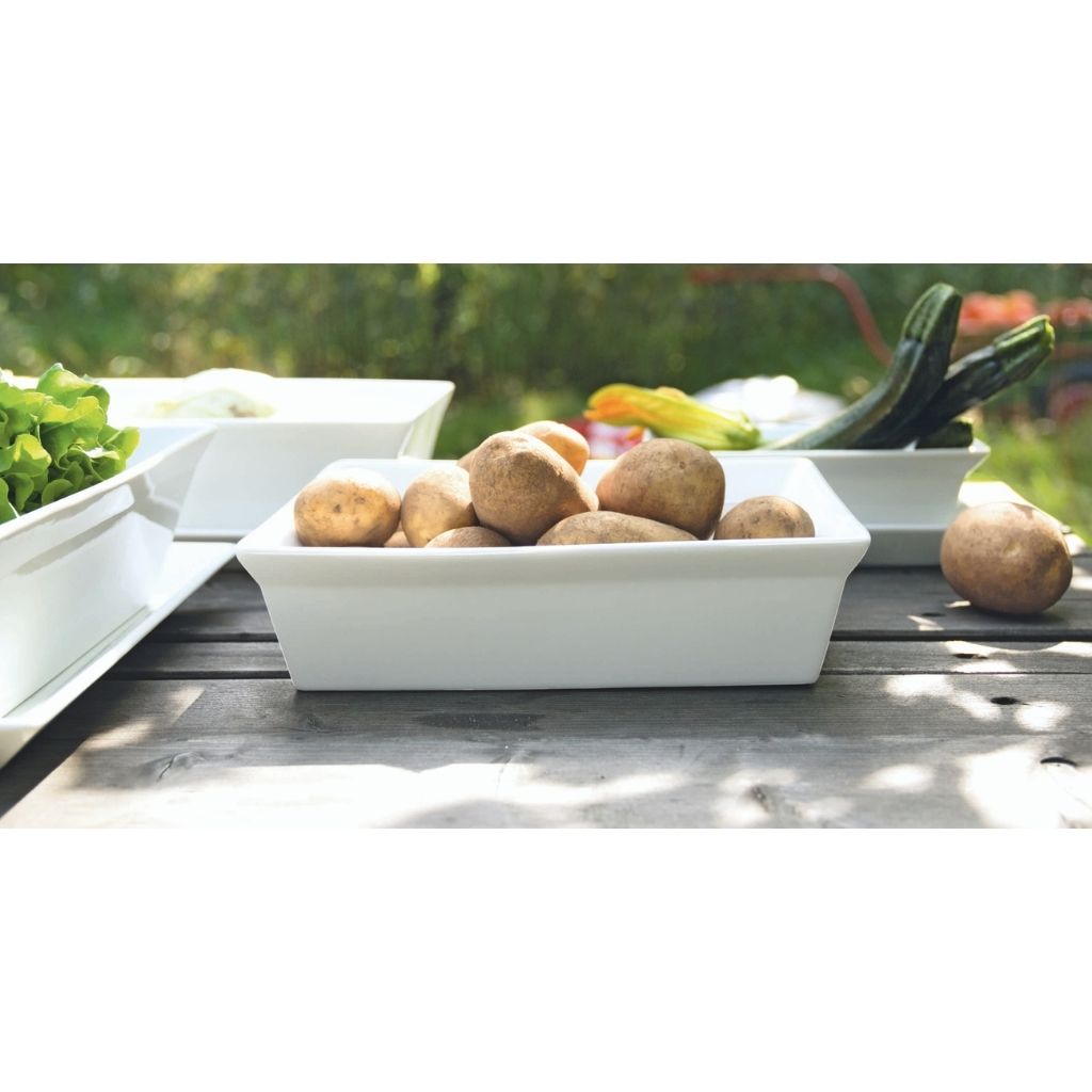 ASA Auflaufform 250°plus - ASA - Ammon Gehrden